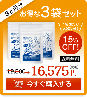 15%OFF！お得な３袋セット（3ヶ月分）16,575円（税別）