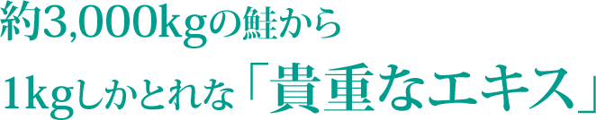 約3,000kgの鮭から 1kgしかとれな 「貴重なエキス」